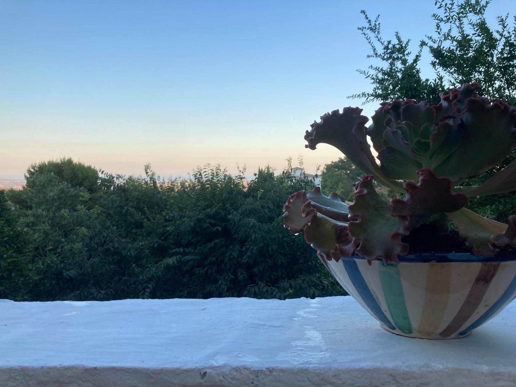 Cortijo De La Fuente Con Vistas Impresionantes Y Playas A 20 Minutos Villa Bedar Ngoại thất bức ảnh
